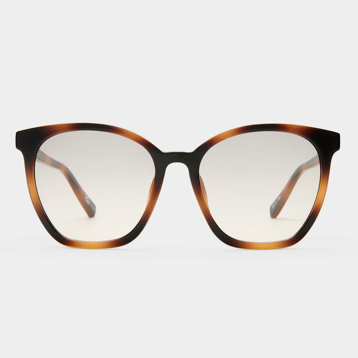 Le Specs Nirvana - Tort