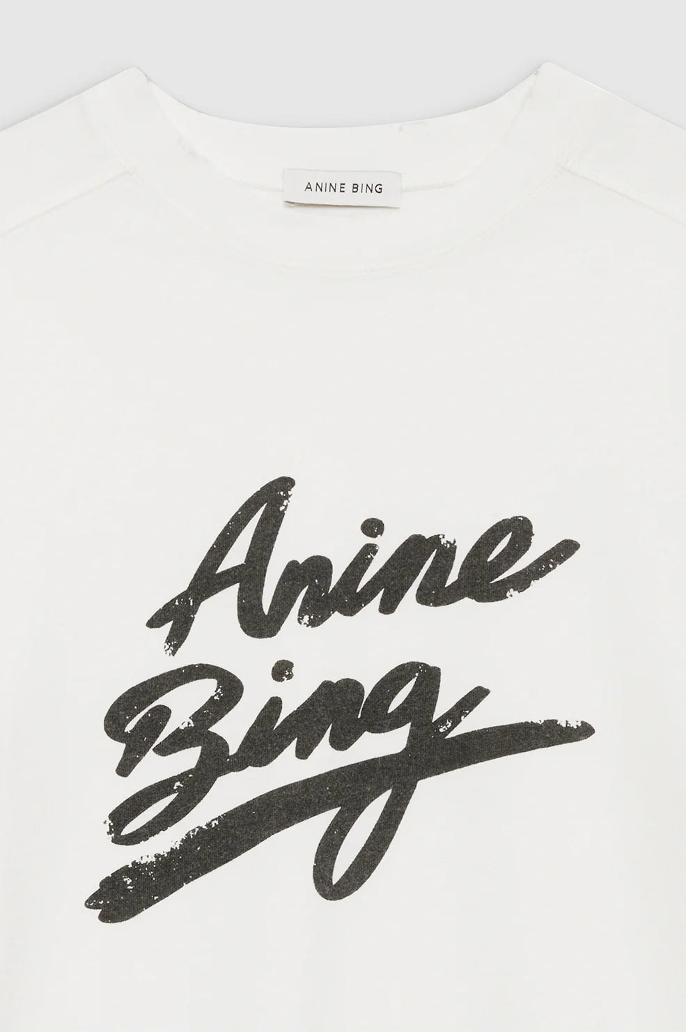 Anine Bing Jaylin Tee Signature
