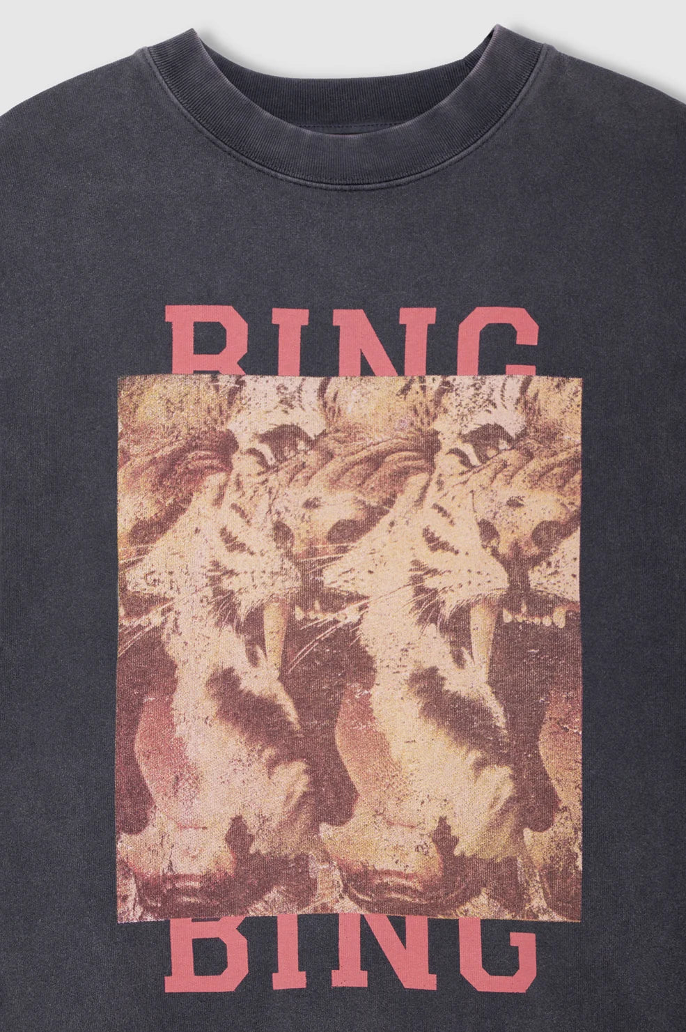 Anine Bing Miles Sweatshirt - Tiger Bing
