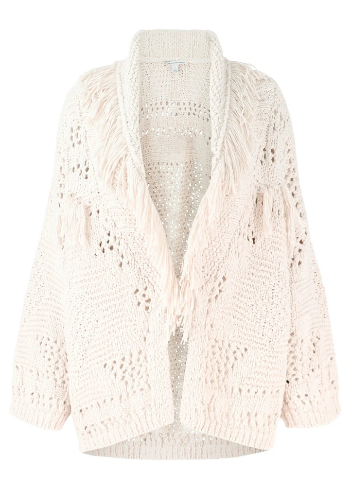 Autumn Cashmere Southwest Fringe Shawl