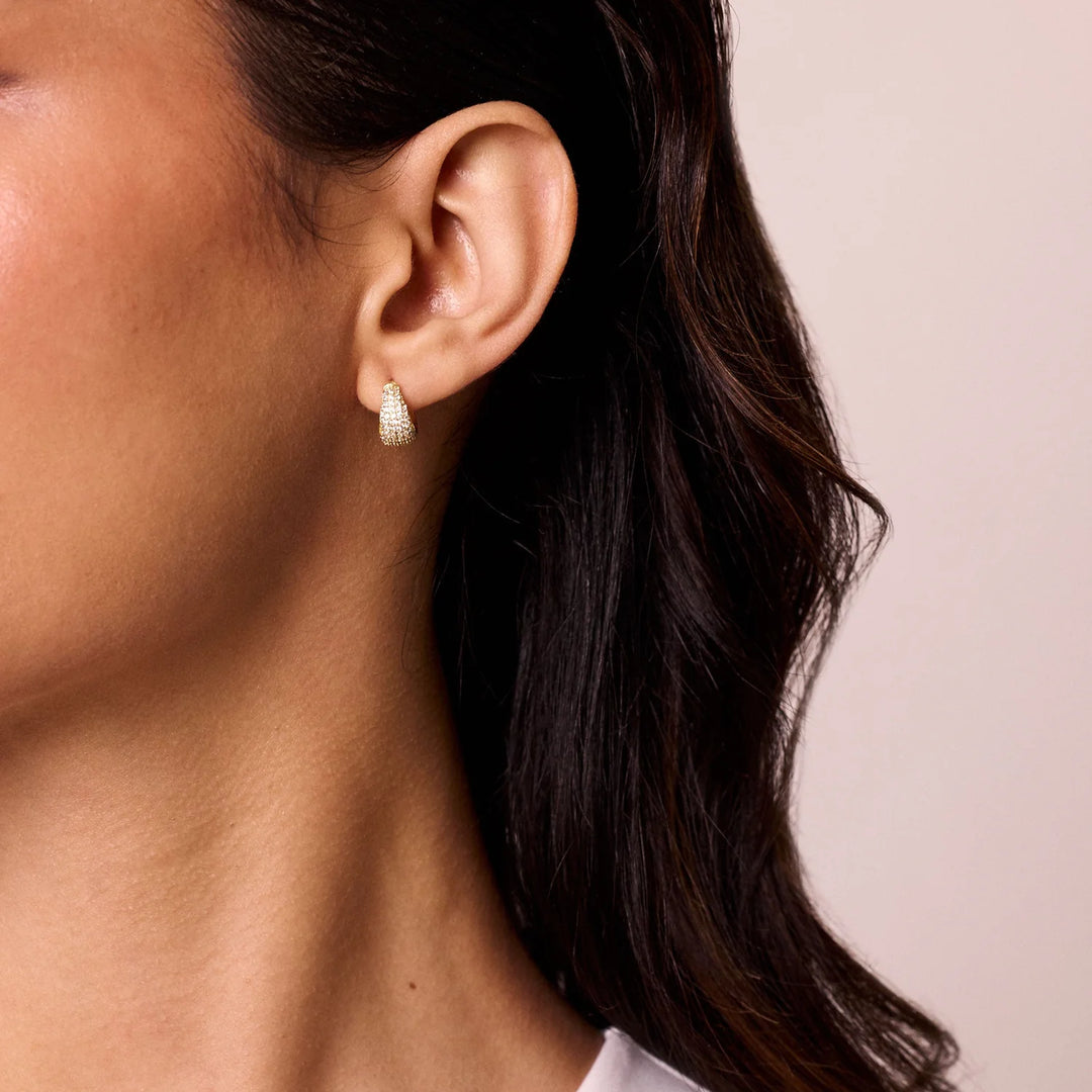 Electric Picks Ivy Earring SIlver