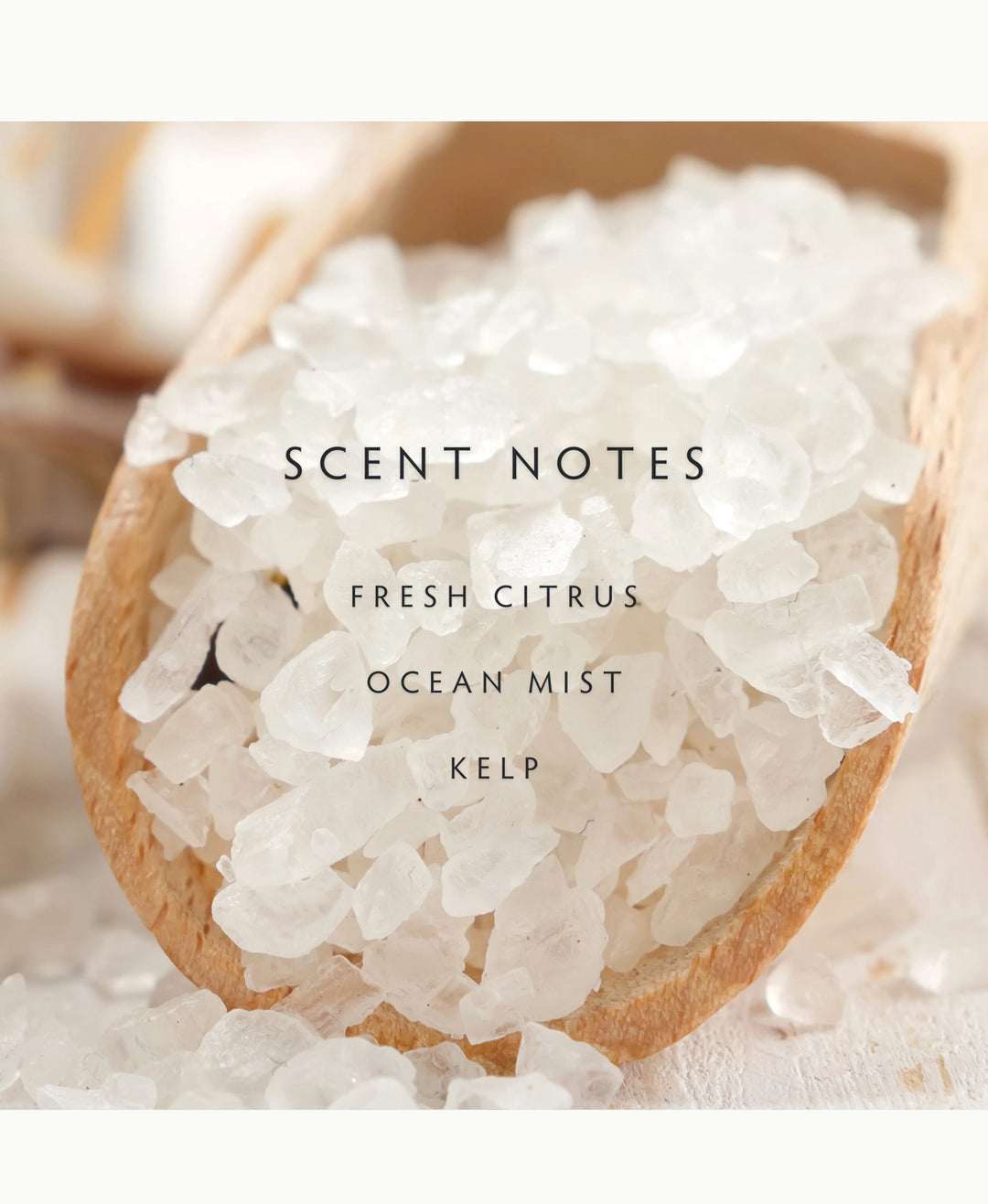 Linnea Diffuser Refill - Sea Salt