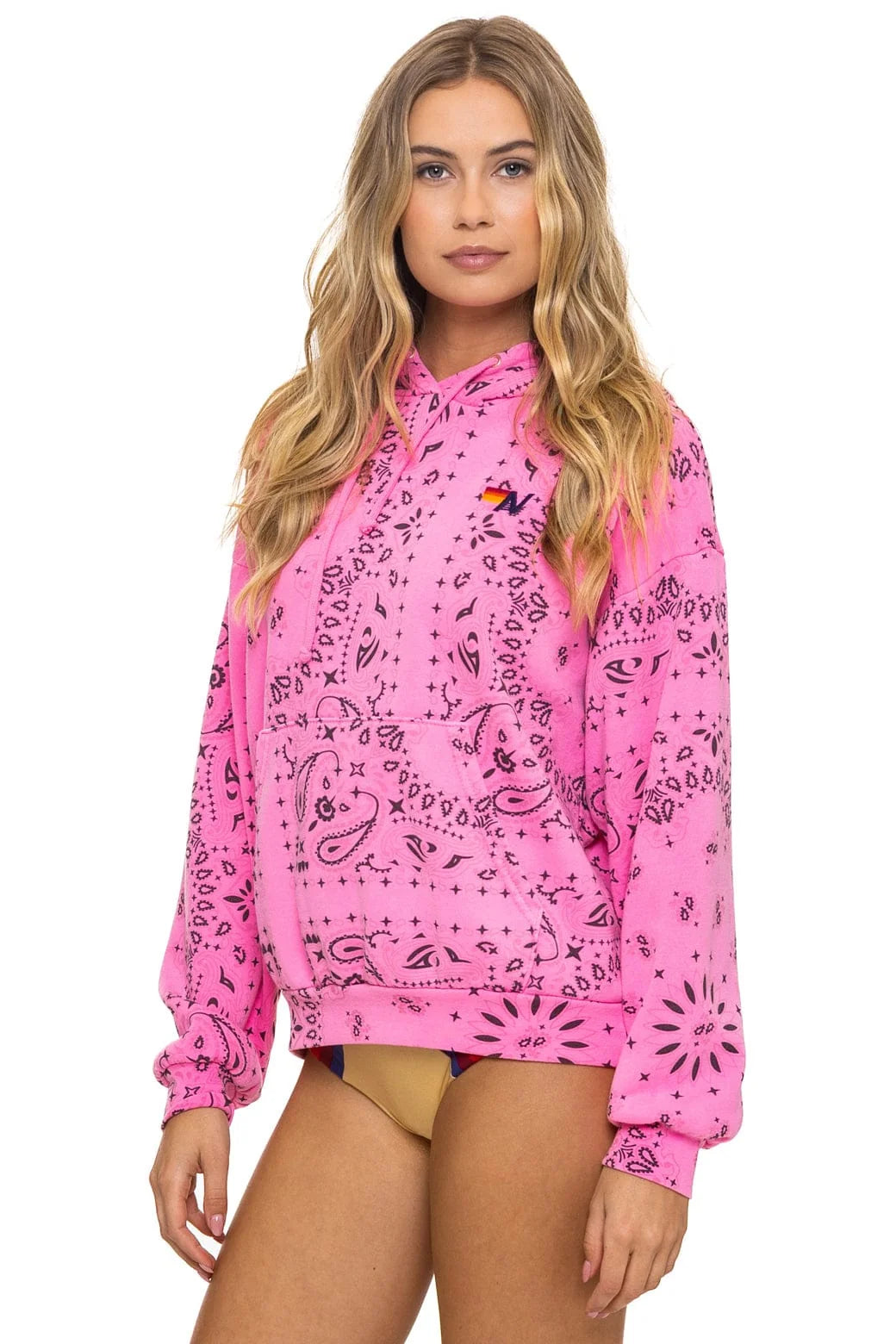 Aviator Nation Bandana Relaxed Hoodie