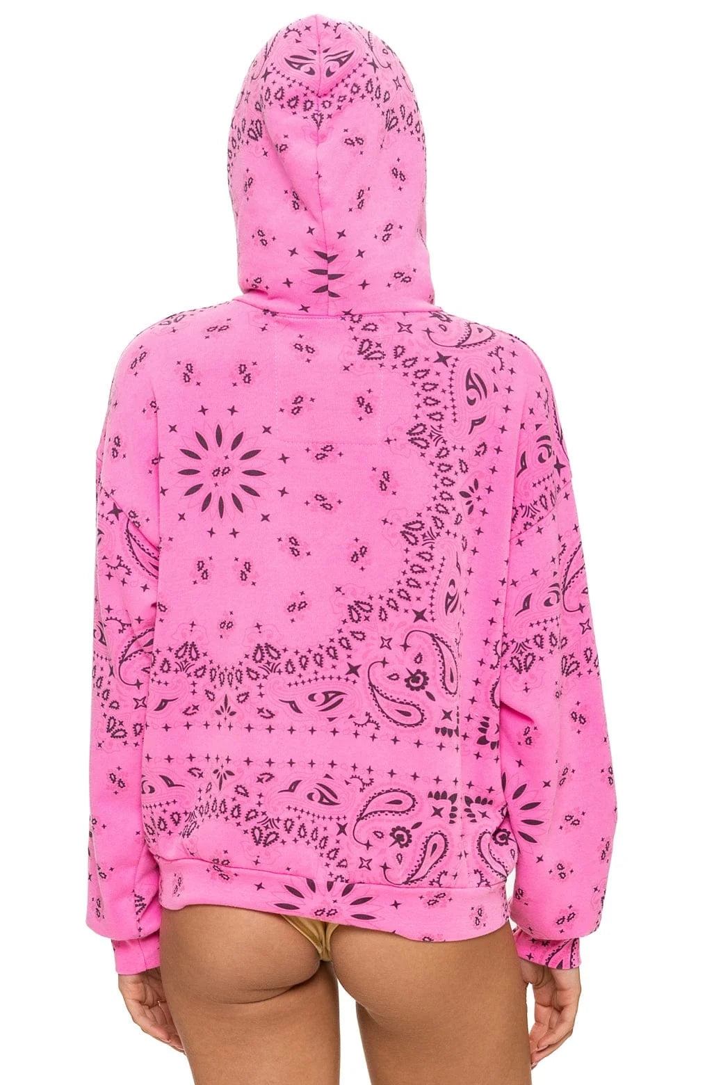 Aviator Nation Bandana Relaxed Hoodie