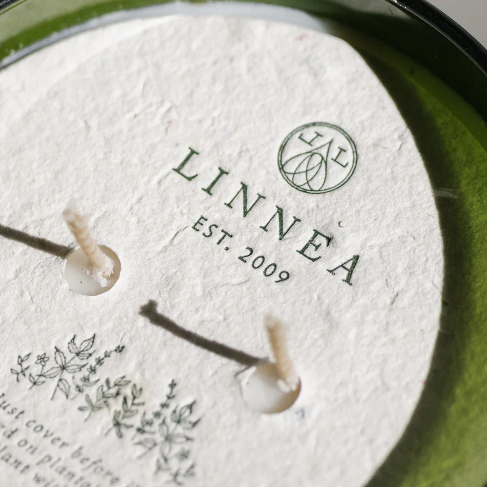 Linnea 2-wick Candle Crushed Mint