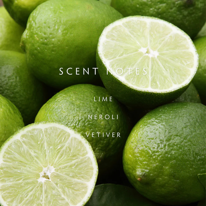 Linnea 2-wick Candle - Persian Lime