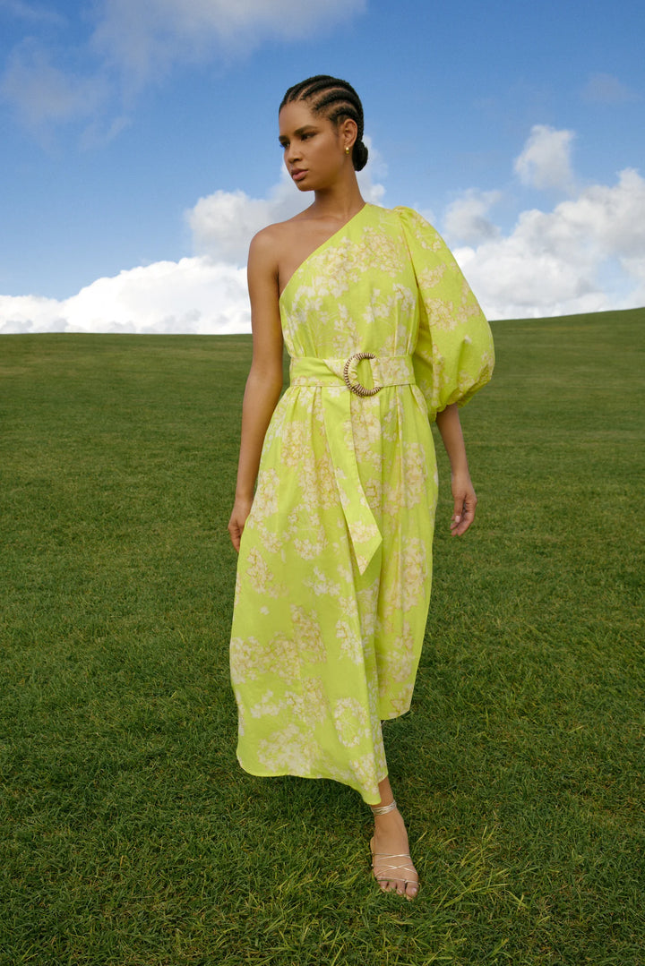 Marie Oliver Kenna Dress