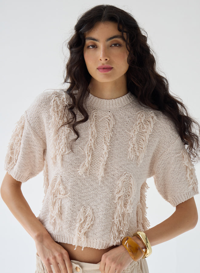 Autumn Cashmere Fringe Crew Short Sleeve Sweater