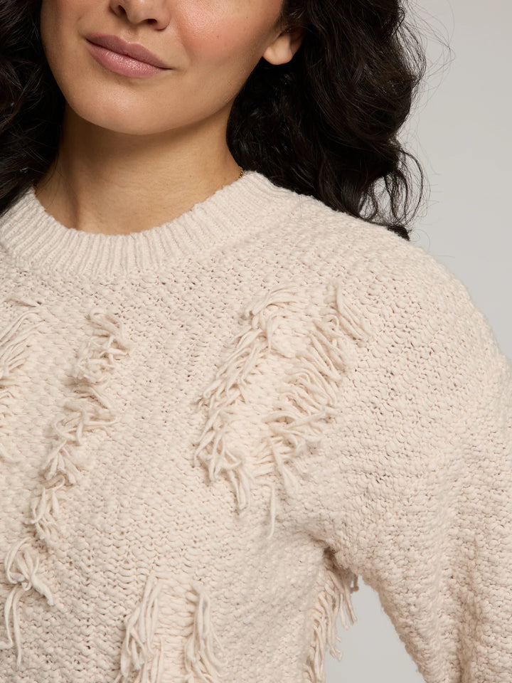 Autumn Cashmere Fringe Crew Short Sleeve Sweater