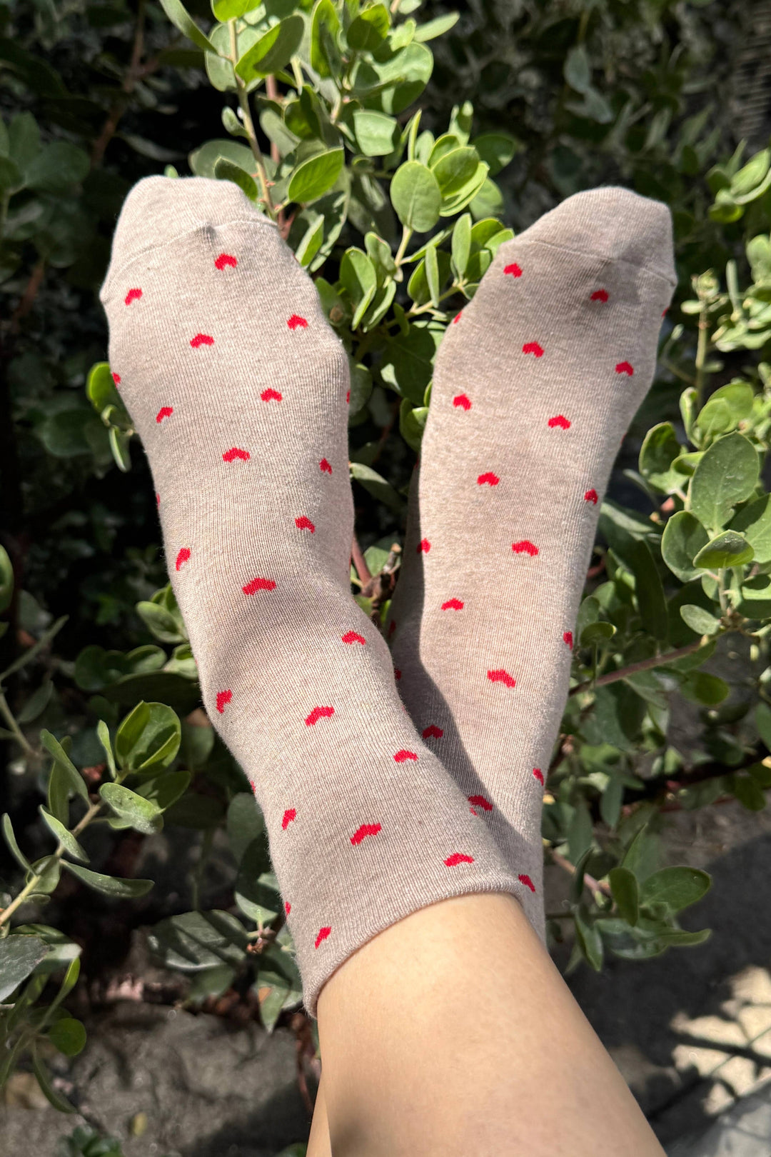 Le Bon Shoppe - Heart Sneaker Socks