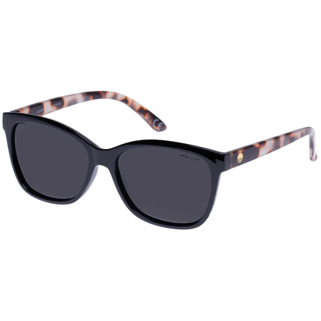 Solarized Modern Cat - BLACK COOKIE TORT