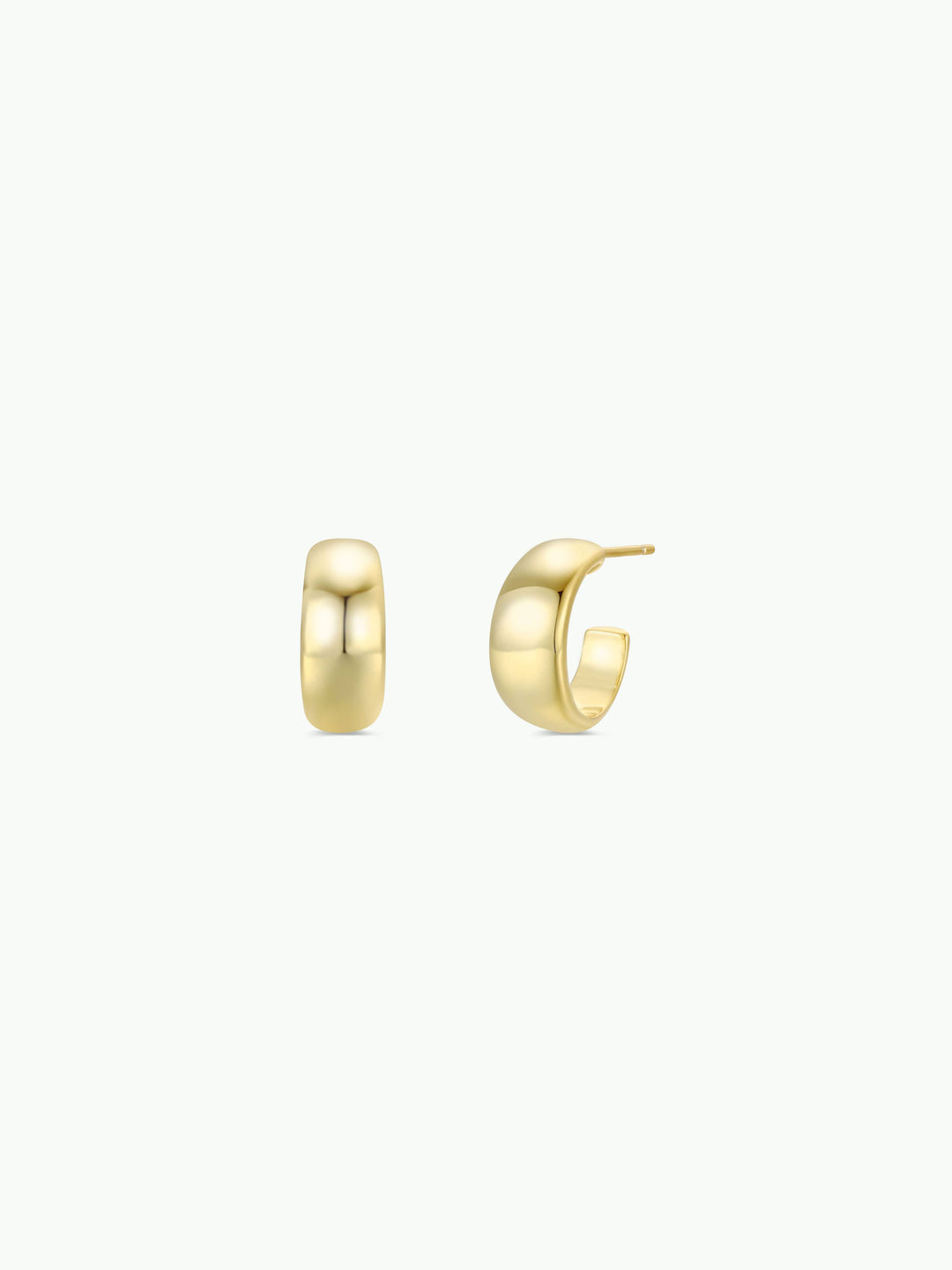 JaxKelly - Gold Hoop - Wide - Gold Earrings
