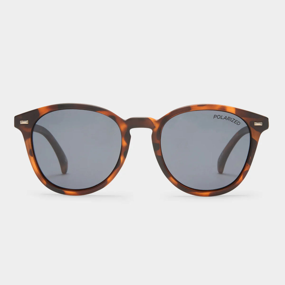 Le Specs Bandwagon - Matte Tort