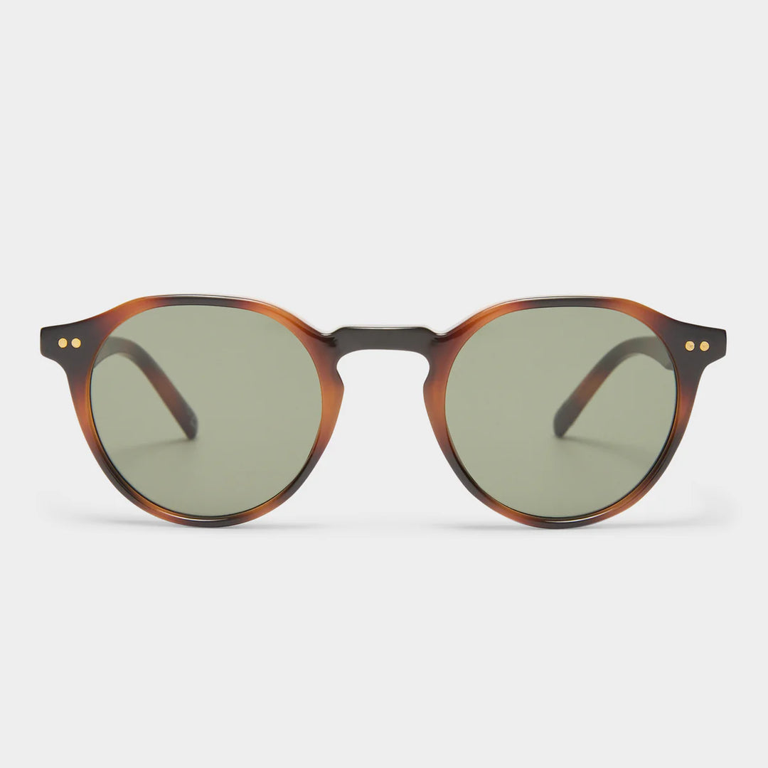 Le Specs Galavant - Tort