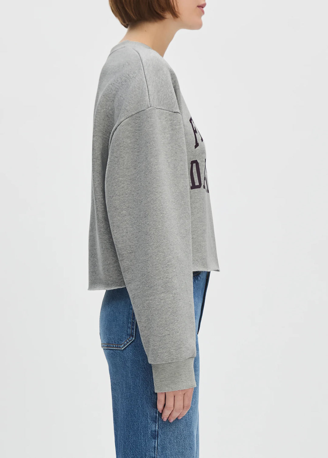 Favorite Daughter The Cropped Collegiate Sweatshirt