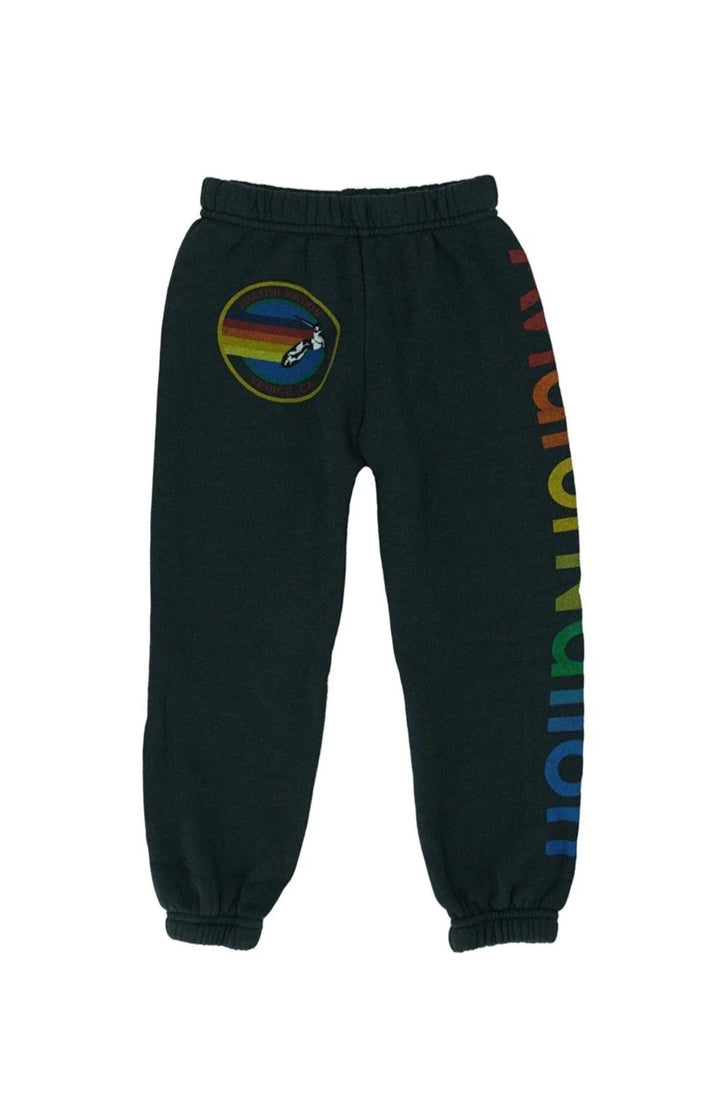 Aviator Nation Kid's 5 Logo Sweatpants -Charcoal