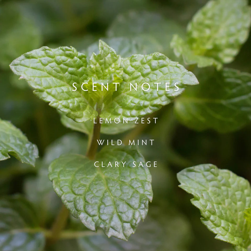Linnea Crushed Mint Room Spray