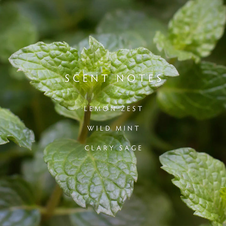 Linnea Crushed Mint Room Spray