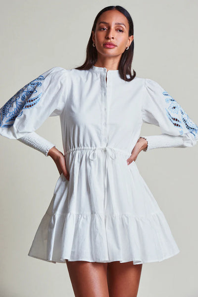 The Shirt Brooke Dress