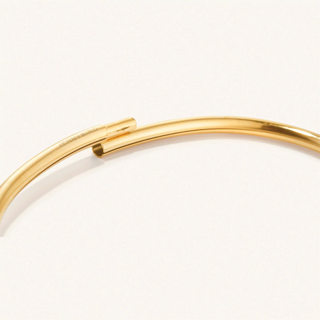 Jenny Bird Dane Anklet-Gold
