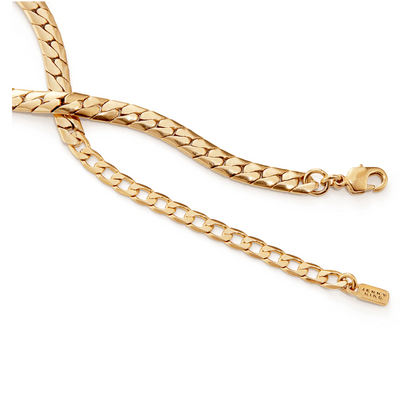 Jenny Bird Priya Snake Chain Anklet-Gold / EQUATION Boutique